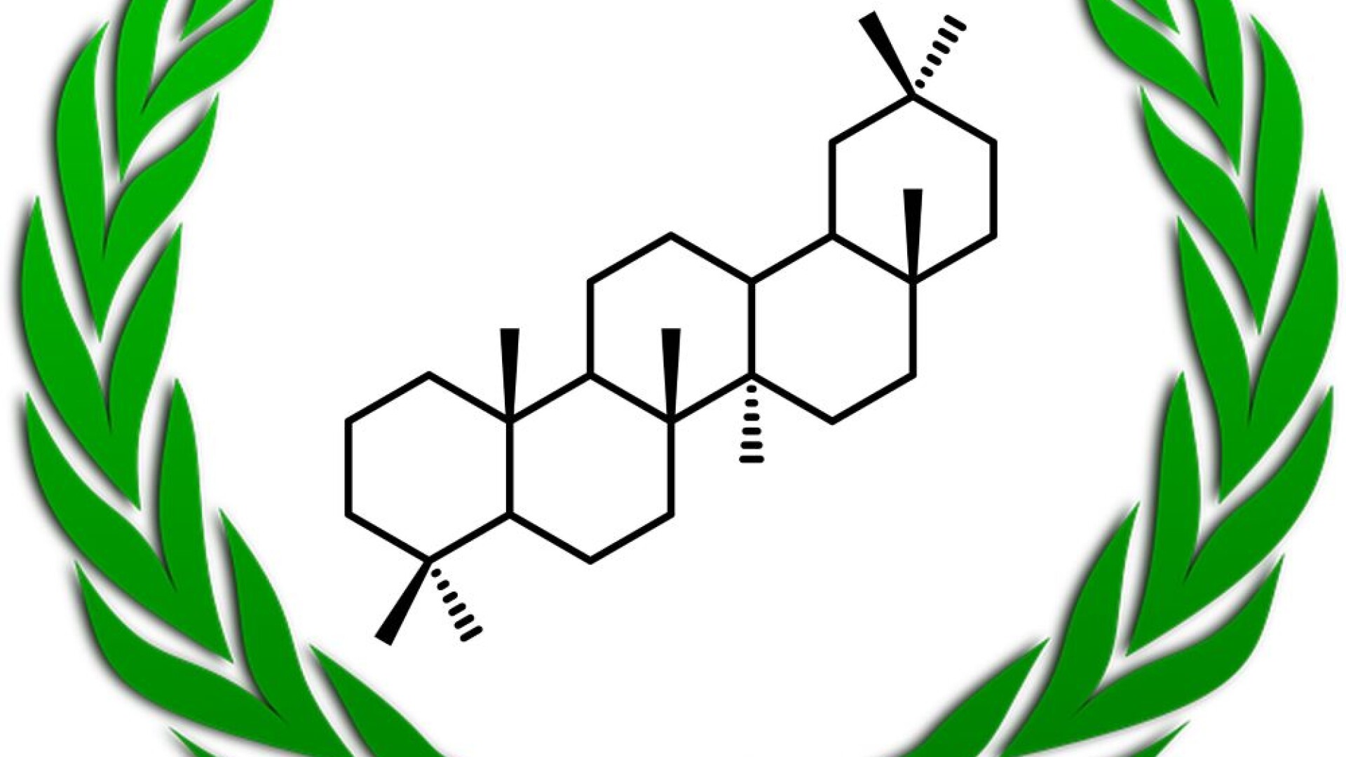 Oleanane